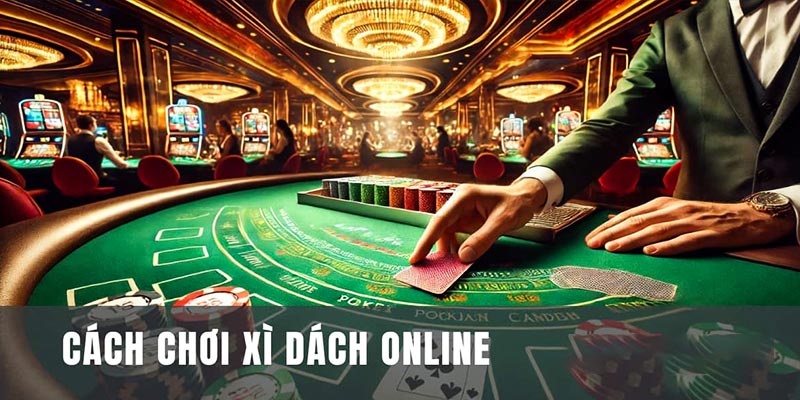 Thông tin về luật chơi xì dách online cho người mới