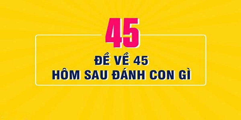 đề về 45 mai đánh lô gì