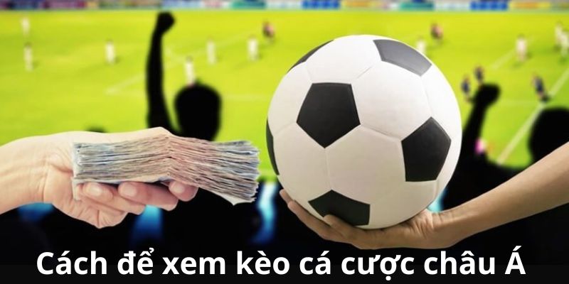 Cách để xem kèo cá cược châu Á