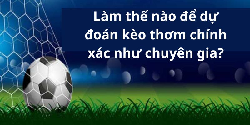 Làm thế nào để dự đoán kèo thơm chính xác như chuyên gia?