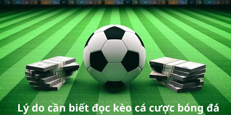 Lý do cần biết đọc kèo cá cược bóng đá