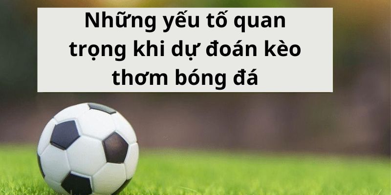 Những yếu tố quan trọng khi dự đoán kèo thơm bóng đá