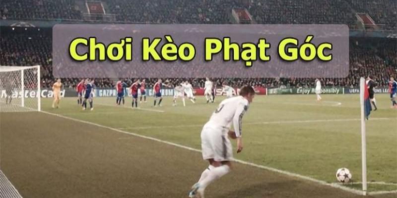 Chơi kèo góc với nhiều lợi cược khác nhau