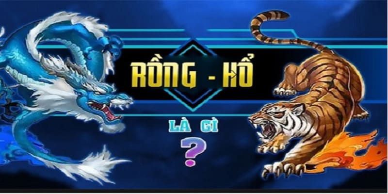 Rổng Hổ FB88