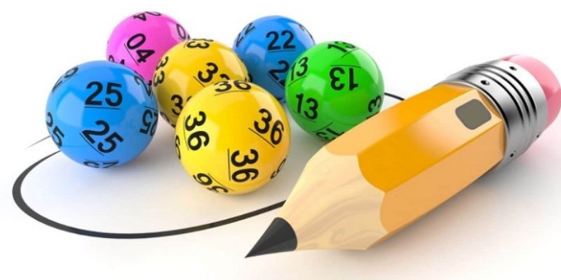 Bí quyết nuôi lô cặp 3 ngày mang lại hiệu quả cao