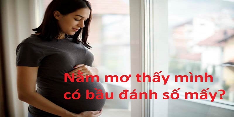 Nằm Mơ Thấy Mình Có Bầu Đánh Số Mấy