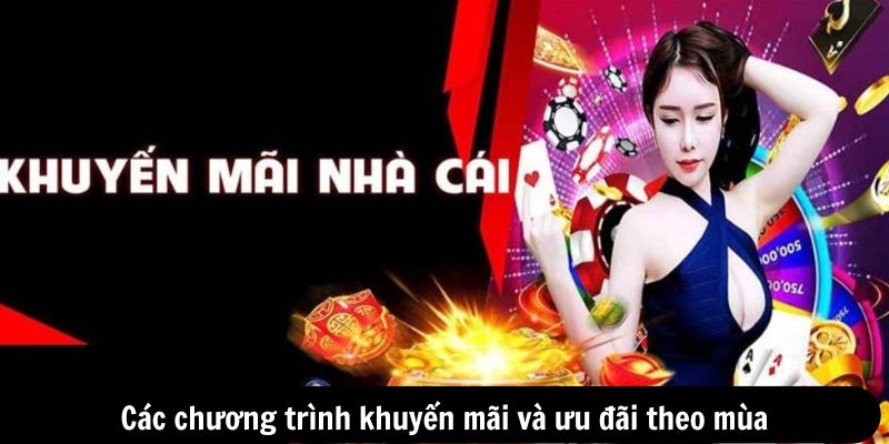 Các chương trình khuyến mãi và ưu đãi theo mùa