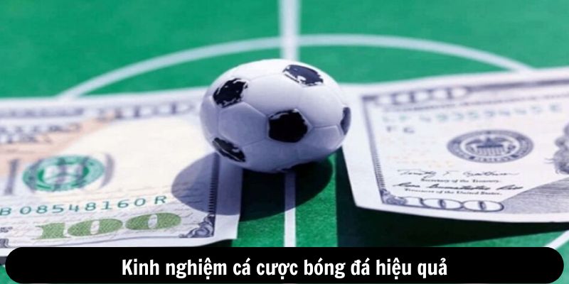 Kinh nghiệm cá cược bóng đá hiệu quả