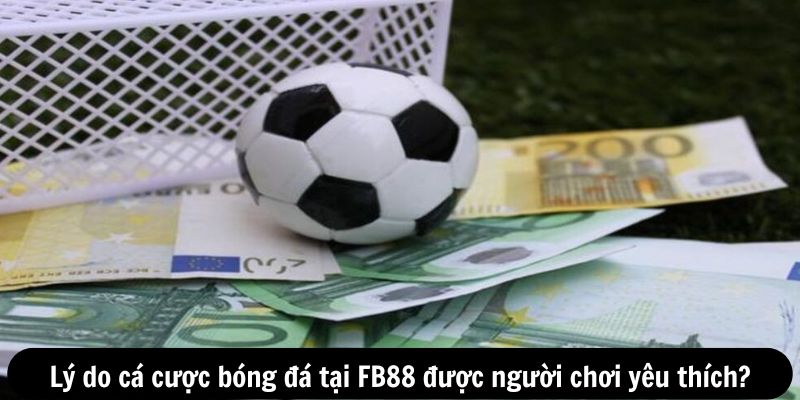 Lý do cá cược bóng đá tại FB88 được người chơi yêu thích?