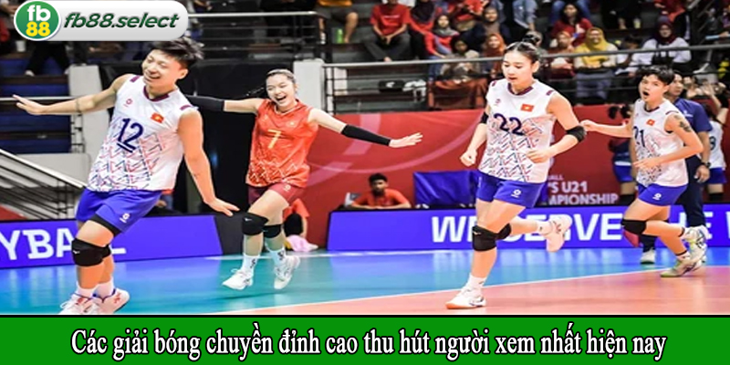 Các giải bóng chuyền đỉnh cao thu hút người xem nhất hiện nay