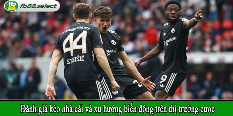 Đánh giá kèo nhà cái và xu hướng biến động trên thị trường cược