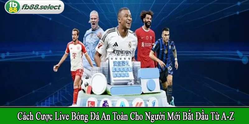 cách cược live bóng đá an toàn cho người mới bắt đầu