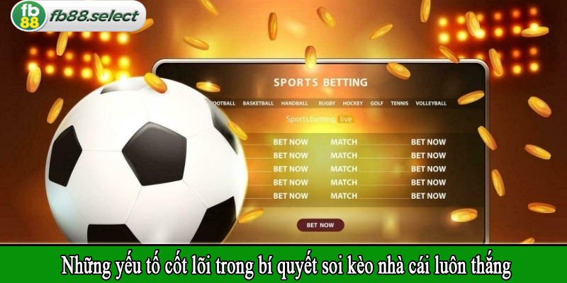 Chiến thuật tối ưu vốn và tâm lý khi tham gia đặt cược