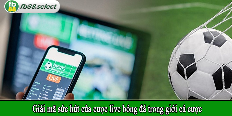 Giải mã sức hút của cược live bóng đá trong giới cá cược