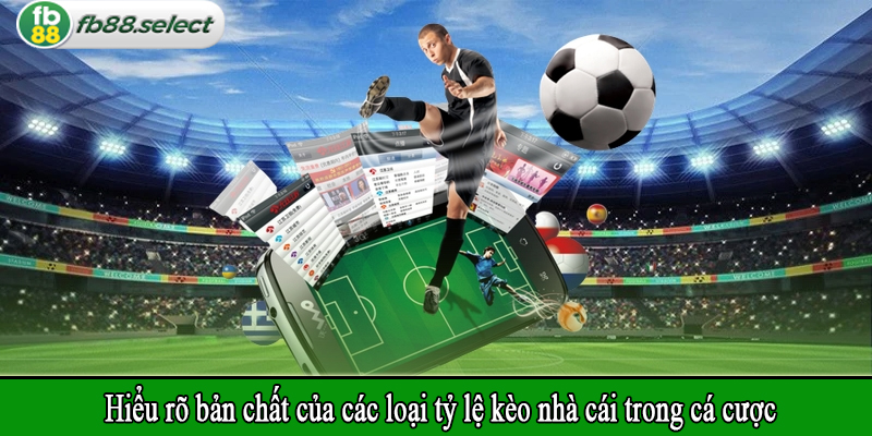 Hiểu rõ bản chất của các loại tỷ lệ kèo nhà cái trong cá cược