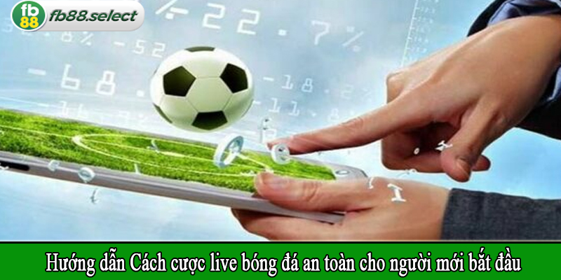 Hướng dẫn Cách cược live bóng đá an toàn cho người mới bắt đầu