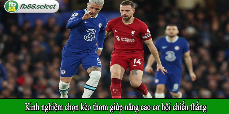 Kinh nghiệm chọn kèo thơm giúp nâng cao cơ hội chiến thắng