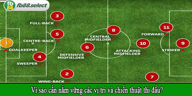 Vì sao cần nắm vững các vị trí và chiến thuật thi đấu?