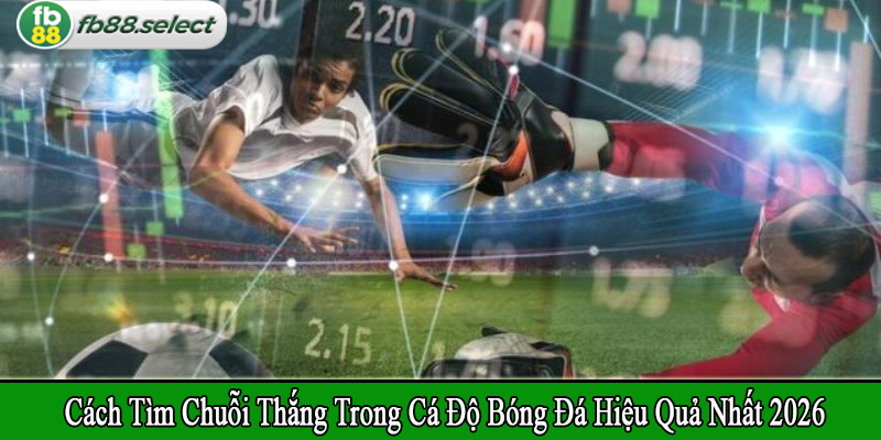cách tìm chuỗi thắng trong cá độ