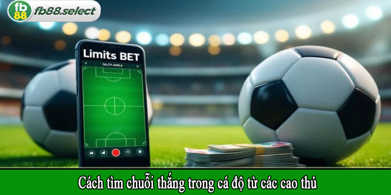 Cách tìm chuỗi thắng trong cá độ từ các cao thủ