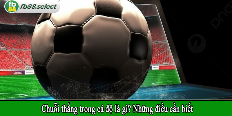 Chuỗi thắng trong cá độ là gì? Những điều cần biết