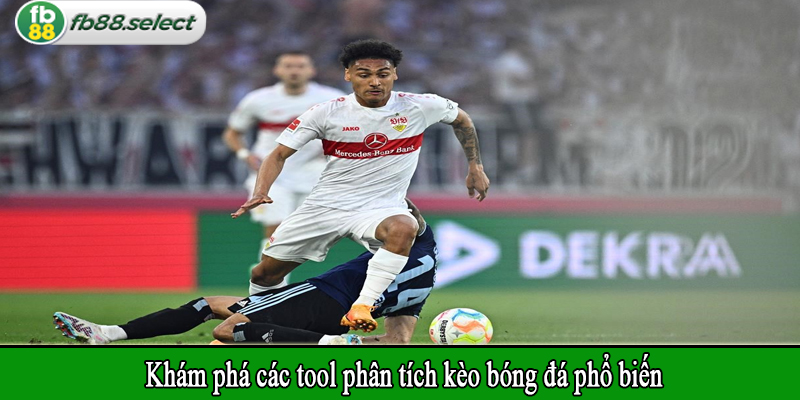 Khám phá các tool phân tích kèo bóng đá phổ biến
