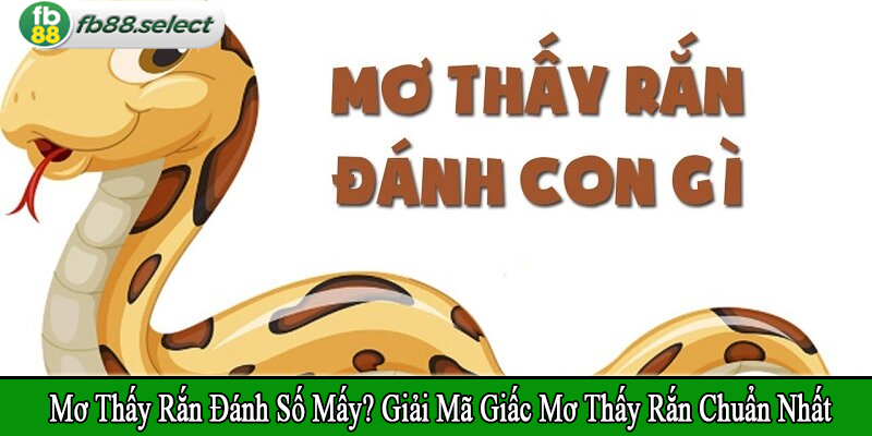 mơ thấy rắn đánh số mấy