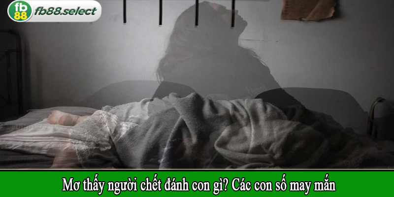 Mơ thấy người chết đánh con gì? Các con số may mắn