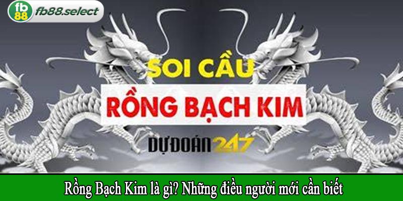 Rồng Bạch Kim là gì? Những điều người mới cần biết