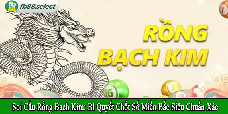 soi cầu rồng bạch kim