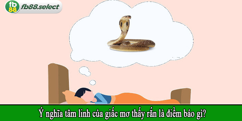 Ý nghĩa tâm linh của giấc mơ thấy rắn là điềm báo gì?