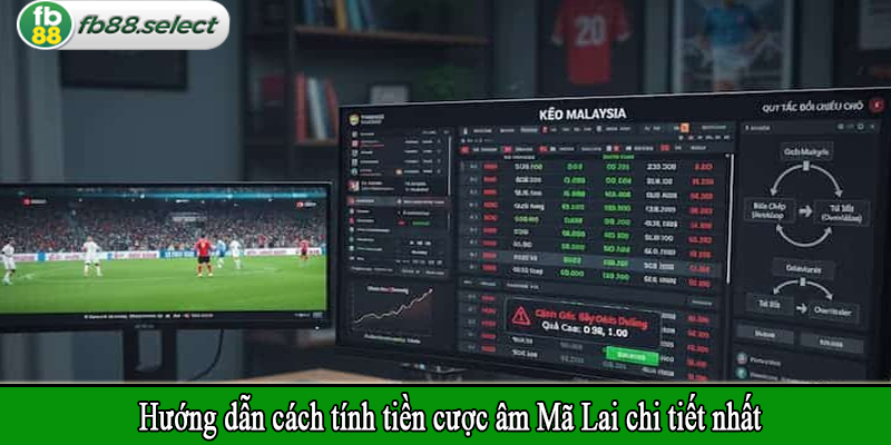 Hướng dẫn cách tính tiền cược âm Mã Lai chi tiết nhất