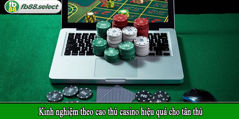 Kinh nghiệm theo cao thủ casino hiệu quả cho tân thủ