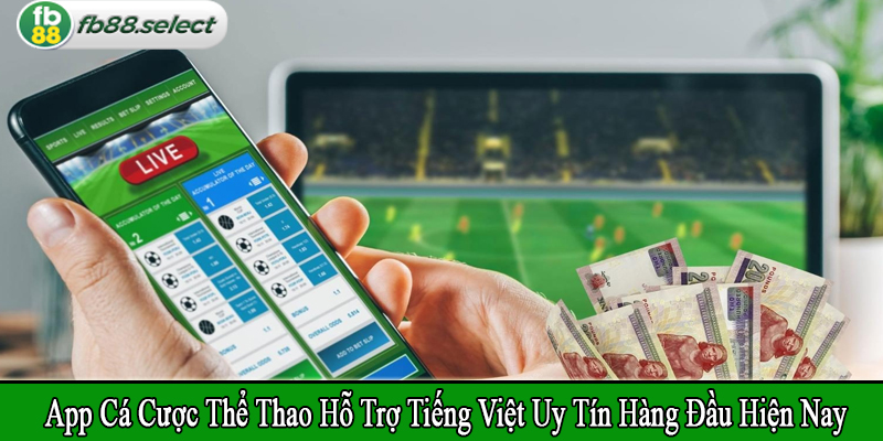 app cá cược thể thao hỗ trợ tiếng Việt