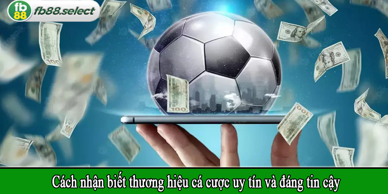 Cách nhận biết thương hiệu cá cược uy tín và đáng tin cậy