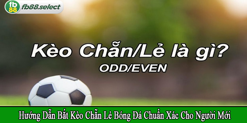 hướng dẫn bắt kèo chẵn lẻ bóng đá