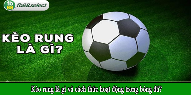 Kèo rung là gì và cách thức hoạt động trong bóng đá?