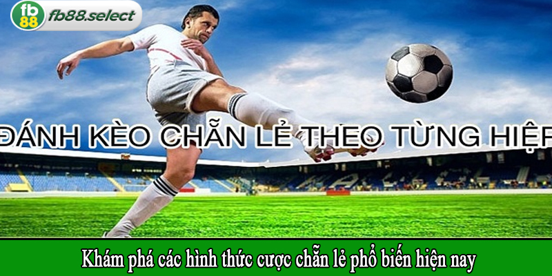 Khám phá các hình thức cược chẵn lẻ phổ biến hiện nay