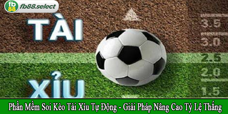 phần mềm soi kèo tài xỉu tự động