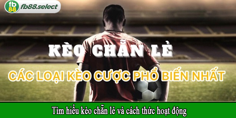 Tìm hiểu kèo chẵn lẻ và cách thức hoạt động