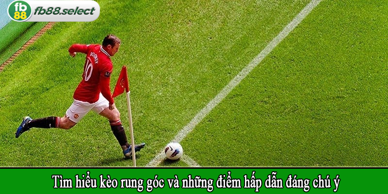 Tìm hiểu kèo rung góc và những điểm hấp dẫn đáng chú ý