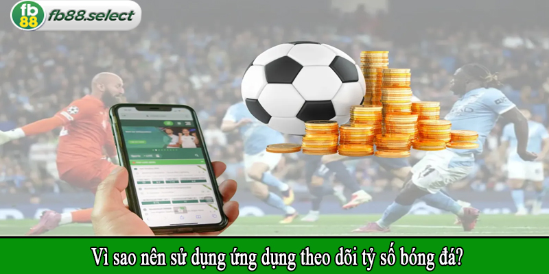 Vì sao nên sử dụng ứng dụng theo dõi tỷ số bóng đá?